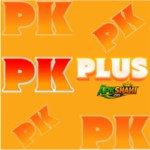 PKPLUS Game